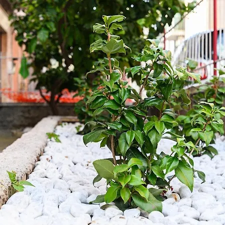 Apartmán Il Vicoletto *